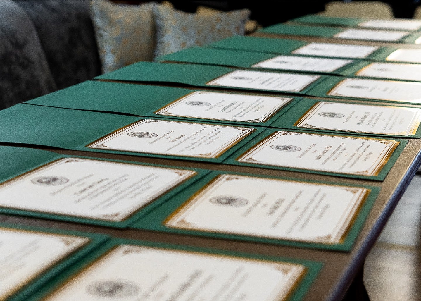 Awards layong on a table in a line