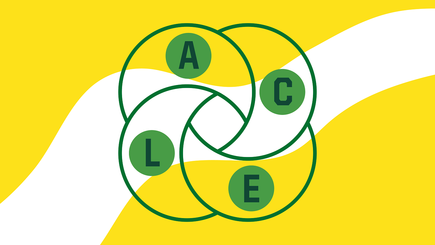 Framework icon - overlapping circles spelling LACE