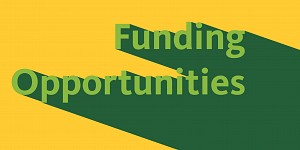 Funding Opportunities (Yellow and Green)