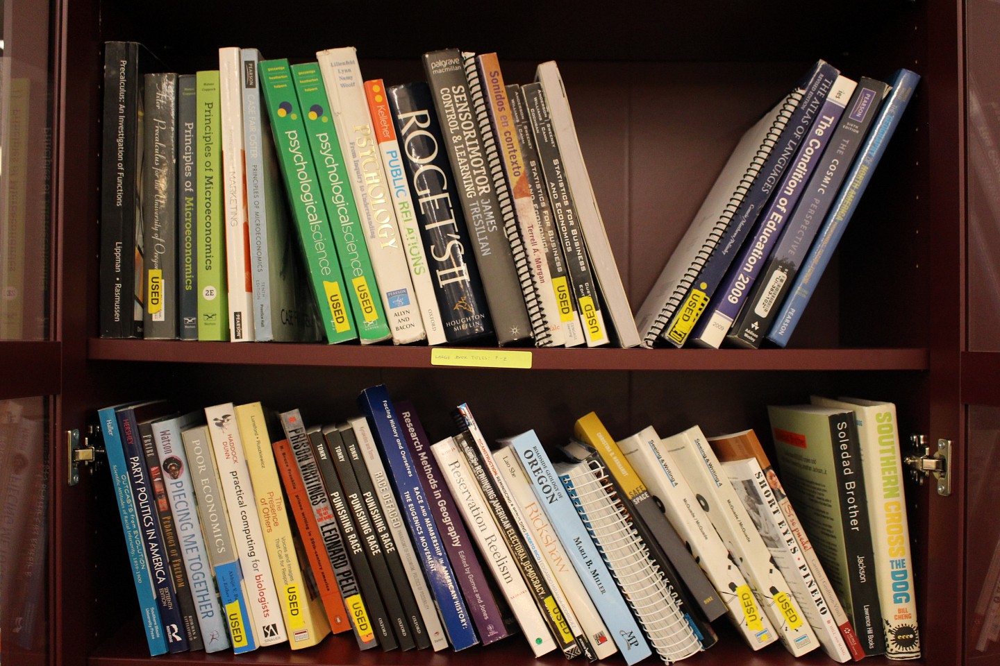 shelves of books from the resource library at cmae