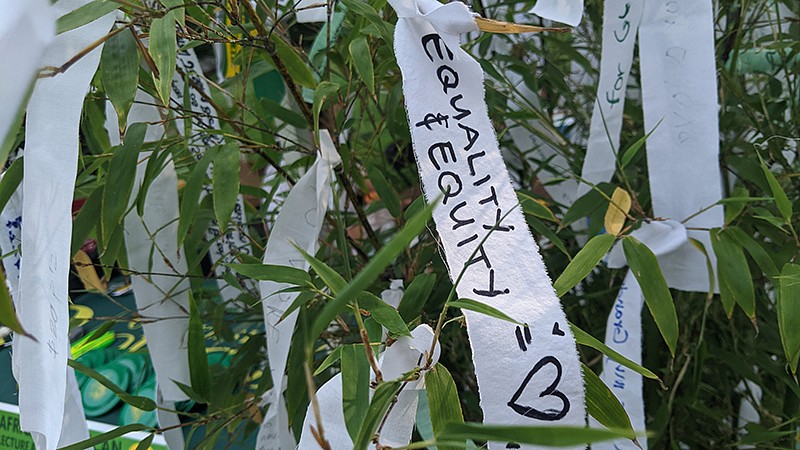 close up image of a white equality ribbon on a tree