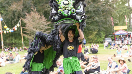 person dancing with a Chinese Dragon Costume in park with people watching