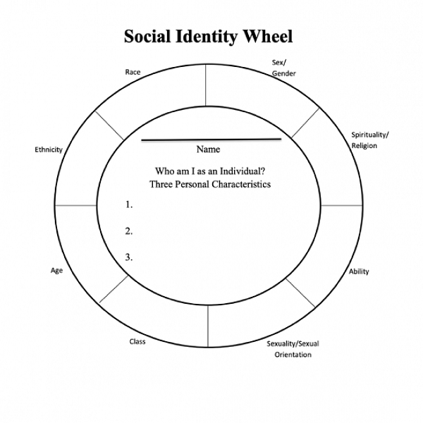 Social Identity Wheel - who you are as an individual in social issues - race, gender, etc.